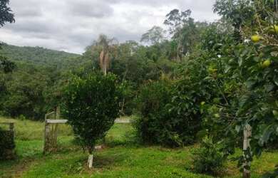 Imagem 14: Lote/Terreno para venda tem 1000 metros quadrados