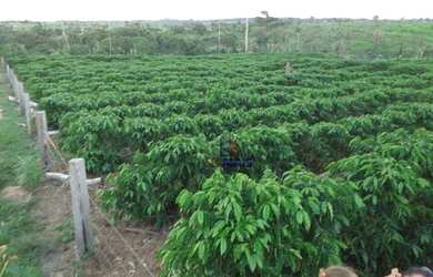 Imagem: A fazenda possui 338800m² de Área e está localizado em Área