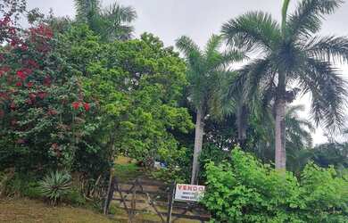 Imagem 10: Sítio. Churrasqueirae27.000m² de Área