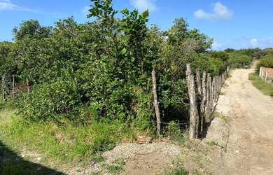 Imagem 3: Terreno à venda, 7500 m² por R$ 850.000,00 - Praia de Pipa - Tibau do...