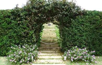 Imagem 15: Lindo sobrado no Condomínio Jardim das Palmeiras