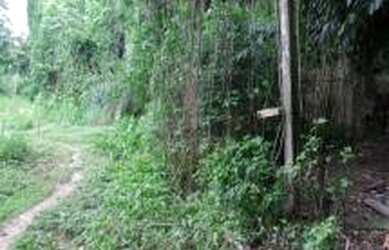 Imagem 13: Área para venda 3413 metros quadrados em Nova Cidade - São Gonçalo...