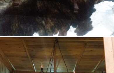 Imagem 2: ANGELINA - Chácara - Angelina