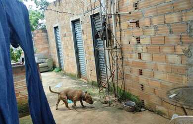 Imagem 3: Lote. 2 Banheirose3 Dormitórios