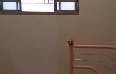 Imagem 10: Alugo Casa. 4 Banheirose5 Dormitórios