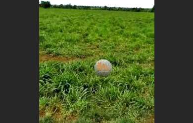 Imagem 3: Fazenda à venda, 113 alqueires por R$ 24.860.000 - Itarumã/GO