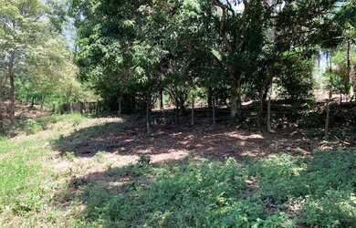 Imagem 12: Chácara 4000m², Frente Rodovia GO-040, Terra Cultura, Cercada, Entre...