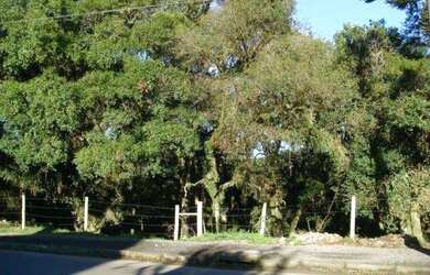 Imagem: O terreno possui 4.825m² de Área e está localizado em Canela