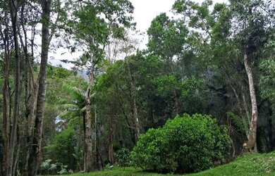 Imagem 3: 137 mil reais 2 casas luz ligada 43 mil de entrada 1600 por mes