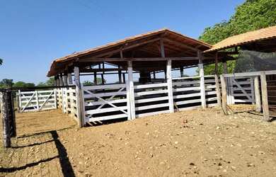 Imagem 16: Fazenda à venda de 497,00 Ha para Agricultura Irrigada Ibiaí - MG