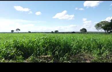 Imagem 5: Vende-se uma excelente fazenda de 1.100 hectares