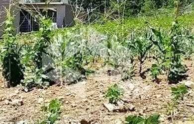 Imagem 6: Terreno com 390 m² no loteamento Recanto da Paulina