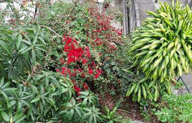 Imagem: A casa possui 5 Dormitórios, 3 Banheiros, 2 Vagas na garagem