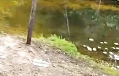 Imagem 3: Vende-se chácara c/ banho Próximo a Vila Recrear 40km de Boa Vista RR