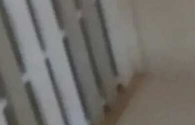 Imagem 14: Aluga-se Geminado - Jlle, Boa Vista, Rua Adolpho Sell nº 17 - R$3.750,00