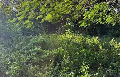 Imagem 5: Área a venda na Zona Oeste -53.000 m² Estrada de Sepetiba Santa Cruz/RJ