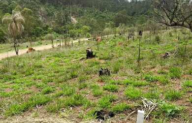 Imagem: O terreno possui 600m² de Área e está localizado em Jardim