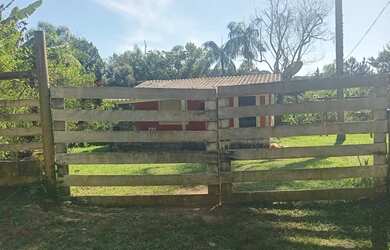 Imagem 15: Super chacrinha 157 mil reais teteinha