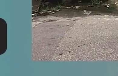 Imagem: O apartamento possui 2 Dormitórios, 1 Banheiro, 45m² de Área