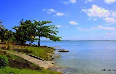 Imagem: O terreno possui 200m² de Área e está localizado em Andaraí