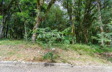 Imagem: O terreno possui 707m² de Área e está localizado em Canela