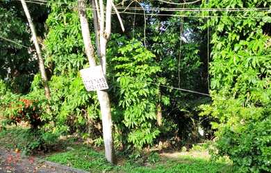 Imagem 4: Venda de lote de terreno