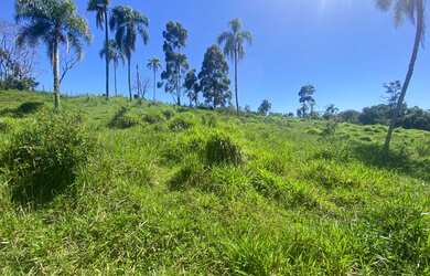Imagem 8: Lote/Terreno para venda tem 1000 metros quadrados