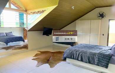 Imagem 7: Sítio Premium no município Inhumas-Goiás. 54 km de Goiânia. 35 Hectares