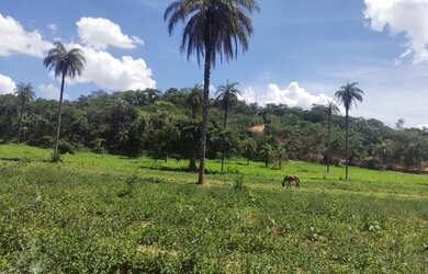 Imagem: A fazenda à venda possui e está localizado em Centro, Betim