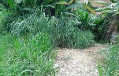 Imagem 7: Área para venda 3413 metros quadrados em Nova Cidade - São Gonçalo...