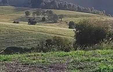 Imagem 2: Lote/Terreno para venda possui 500 metros quadrados em Jardim Imperial...