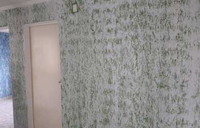 Imagem 1: Apartamento. 1 Vaga na garageme2 Dormitórios