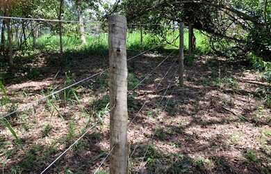 Imagem 4: Chácara 4000m², Frente Rodovia GO-040, Terra Cultura, Cercada, Entre...