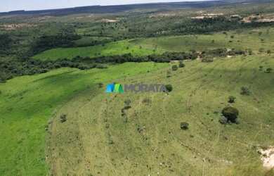 Imagem 6: FAZENDA À VENDA - 273 HECTARES - TRÊS MARIAS MG