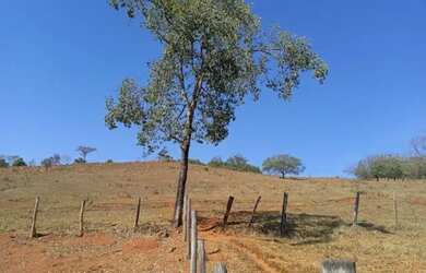 Imagem 15: Vende-se bela fazendinha em Congonhas