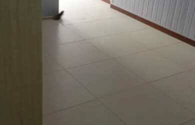 Imagem 6: Saúde, Apart. 1º Andar. 2 Dormitórios