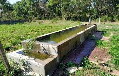 Imagem 8: Fazenda à venda de 497,00 Ha para Agricultura Irrigada Ibiaí - MG
