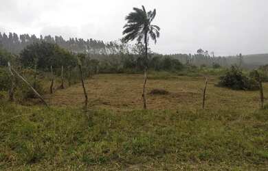 Imagem: O terreno possui 600m² de Área e está localizado em Coqueiral