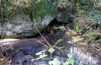 Imagem 7: Área de terra bairro Linha Olinda, Nova Petropólis.RS REF 246