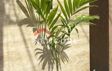 Imagem 7: Casa em Rua Projetada Trinta e Quatro - Jardim Atlântico Central Itaipuaçu...