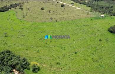 Imagem: A fazenda possui 273m² de Área e está localizado em Andrequicé