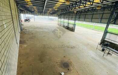 Imagem 5: Imóveis Comerciais Galpão Comercial em Ribeirão Preto