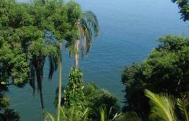 Imagem: A casa em condomínio possui 2 Dormitórios, 2 Banheiros, 1