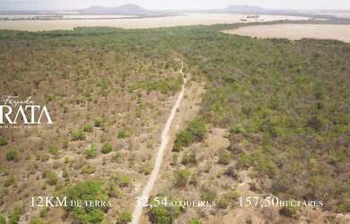 Imagem 6: Fazenda Prata - Porto Nacional - TO 32,54 Alq