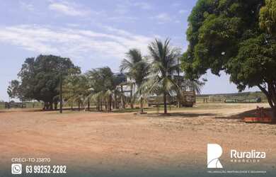 Imagem 12: Fazenda em exploração agrícola no vale do Araguaia TO