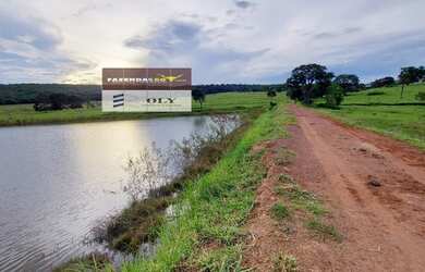 Imagem: A fazenda está localizado em Palestina de Goiás, GO à venda