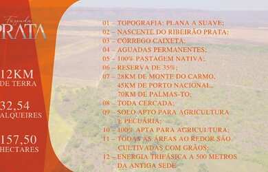 Imagem 2: Fazenda Prata - Porto Nacional - TO 32,54 Alq
