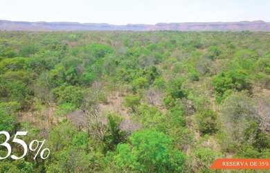 Imagem 15: Fazenda Prata - Porto Nacional - TO 32,54 Alq