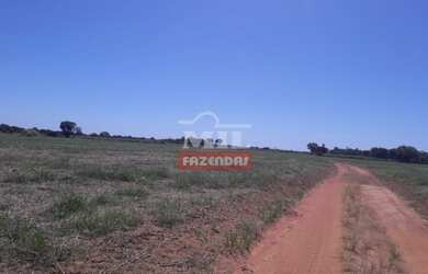 Imagem 8: Fazenda Produtiva em Porangatu-GO / 92 Alq. 445 Há