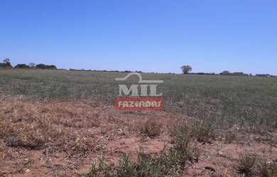 Imagem 5: Fazenda Produtiva em Porangatu-GO / 92 Alq. 445 Há